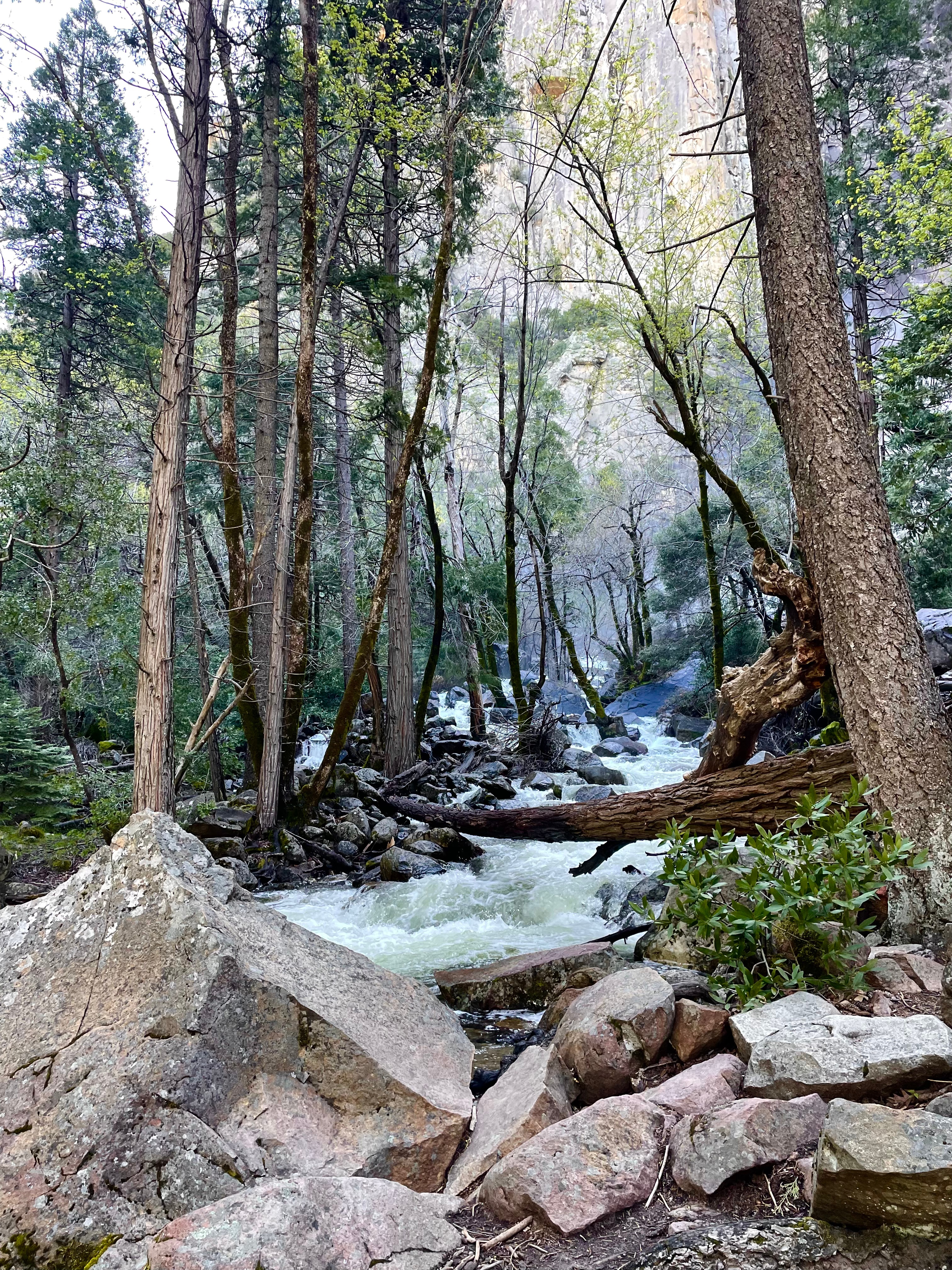 Yosemite National Park